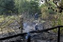 Waldbrand Koeln Hoehenhaus Hoehenfelder Mauspfad P075